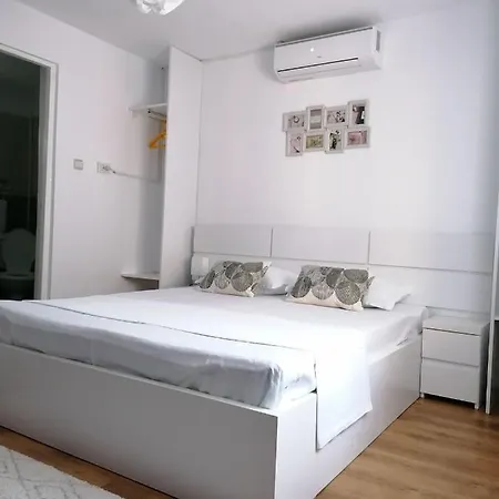 홈스테이 Alexandra House 코스티네스티