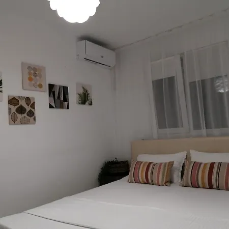 Alexandra House Homestay *
