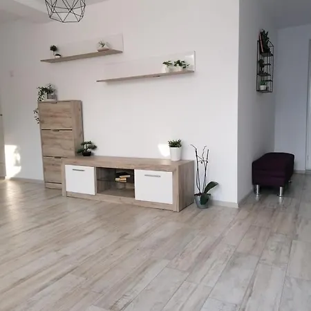 Alexandra House 홈스테이 코스티네스티