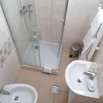 Alexandra House בית אירוח קוסטינסטי