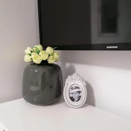 ホームステイ Alexandra House コスティネシュティ