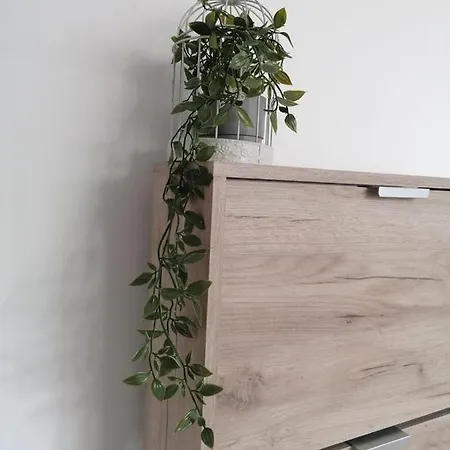 Alexandra House * Costinesti