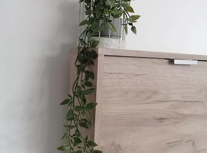 Alexandra House * Costinesti